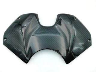 CARENADO DEPOSITO CARBONO PANIGALE V4