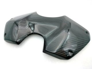 CARENADO DEPOSITO CARBONO PANIGALE V4