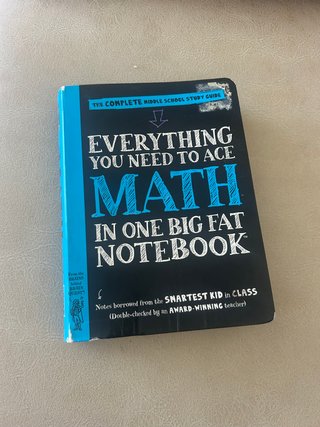 Everything You Need to Ace Math in One Big Fat ...
