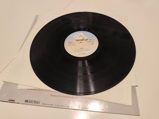Patti Smith Group - Wave Vinilo (1979)