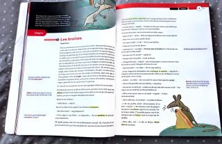 SEQÜÈNCIES de Llengua catalana i literatura 1 ESO