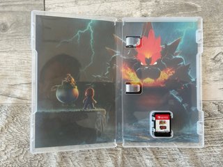 Super Mario 3D World + Bowser's Fury Switch