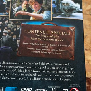 Animali Fantastici E Dove Trovarli DVD + Gadget