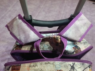 Mochila Anejke escolar con ruedas