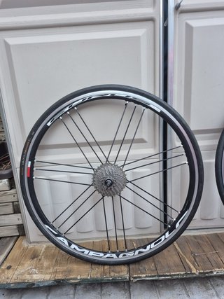Ruedas Carretera Campagnolo Eurus