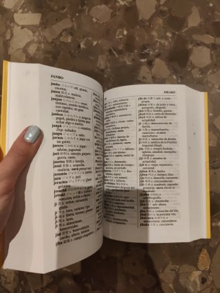 Diccionario Español Japonés 西和, 和西辞典