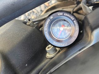 Softail Milwauhñkee Eight 114