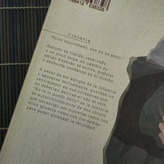 Manga Yaoi 'No te lo puedo decir'