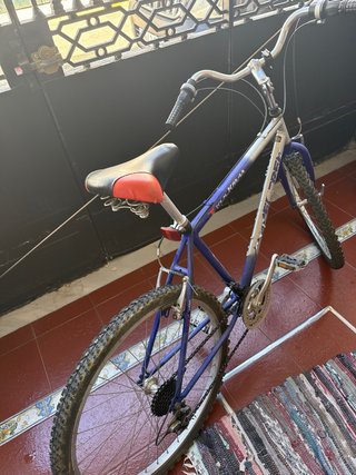 Bicicleta Trek Rockmax Montaña