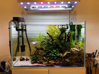 Acuario 160L Completo, Cristal Óptico.