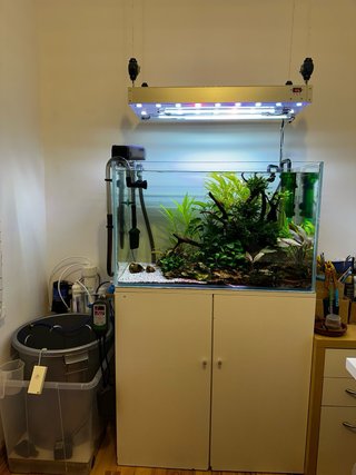 Acuario 160L Completo, Cristal Óptico.