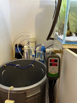 Acuario 160L Completo, Cristal Óptico.
