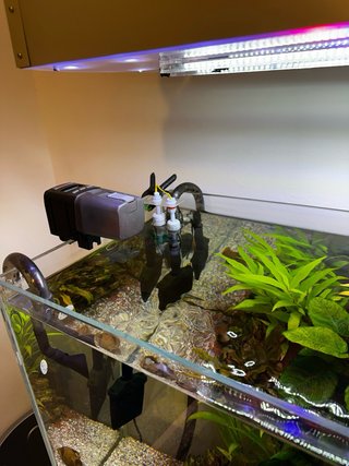 Acuario 160L Completo, Cristal Óptico.