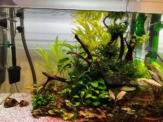 Acuario 160L Completo, Cristal Óptico.