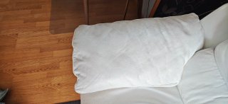 Sofá de piel eléctrico blanco
