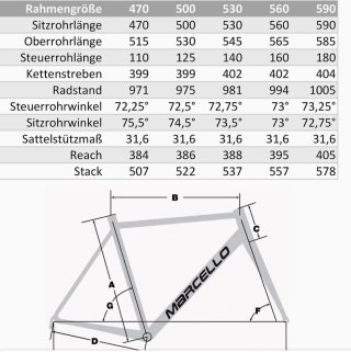 Cuadro de carbono Marcello HP3 - Nuevo-
