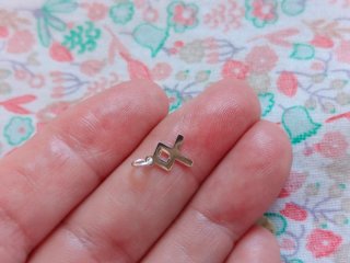 Colgante Runa Odal Plata 925