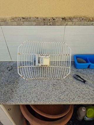 Router TP-Link con antena WiMAX