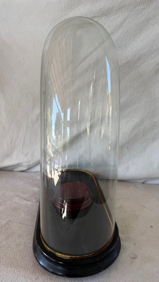 Fanal antiguo cristal y madera principios S.XX
