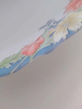 Plato llano Luminarc porcelana florine
