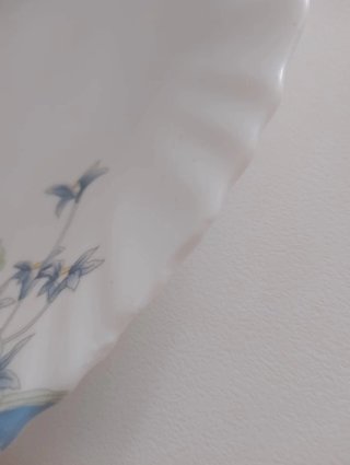 Plato llano Luminarc porcelana florine