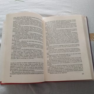 Libro La Papisa