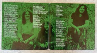 Le Orme - Collage Vinile