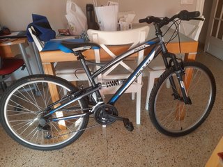 Bicicleta Montaña INDOOR 260SX