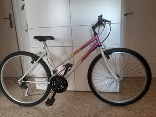 Bicicleta Montaña INDOOR 260SX
