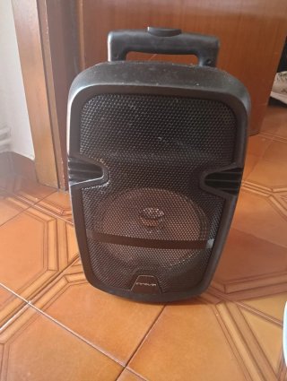 2 Altavoces Trolley Innova ALT21+ALT23