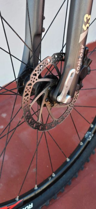 Bicicleta de Montaña