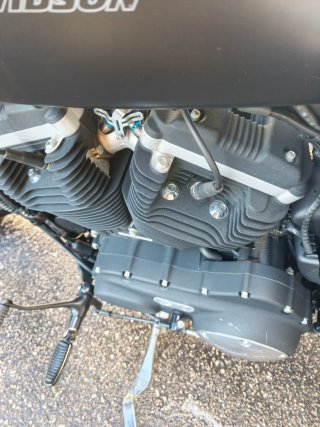 Harley Davidson 883 Iron Negra