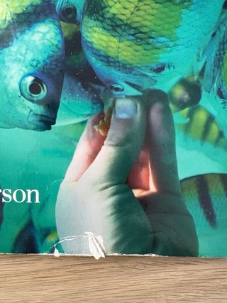 Libro ingles A2 GOLD EXPERIENCE student’sbook