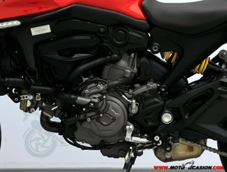 DUCATI MONSTER
