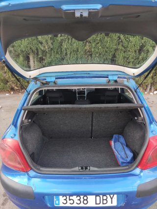 Peugeot 307 2004