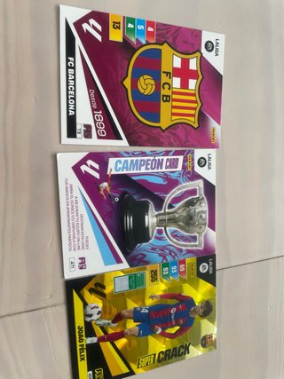 Cromos Adrenalyn XL 23-24