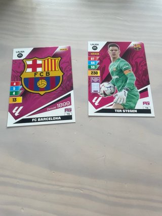 Cromos Adrenalyn XL 23-24