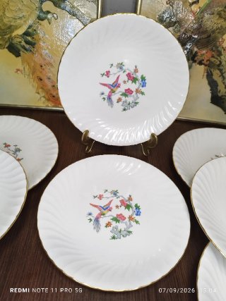 12 Platos Llanos y 1 Salsera Porcelana Francesa