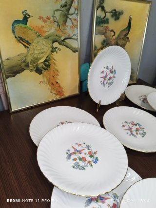 12 Platos Llanos y 1 Salsera Porcelana Francesa