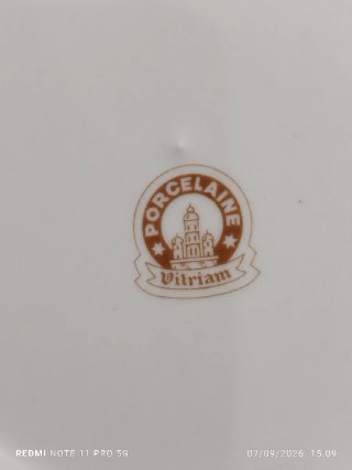 12 Platos Llanos y 1 Salsera Porcelana Francesa