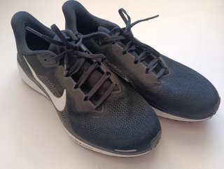 Nike Pegasus 41 Hombre Talla 45