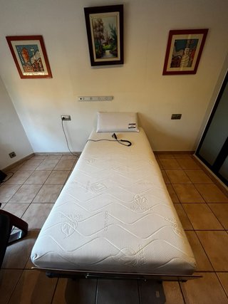 Cama Eléctrica Articulada + Colchón Visco Aloe