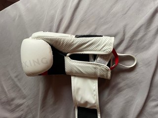 Guantes de Boxeo Ergo Advance