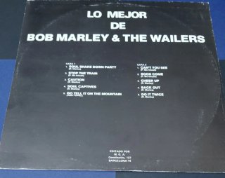 Bob Marley & The Wailers - Shake Down