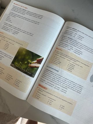 Vigía Lengua castellana y Literatura : 4 ESO
