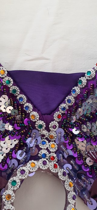 Traje / Conjunto de Danza Oriental / Belly Dance