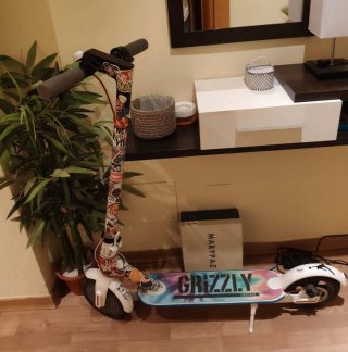 Patín Eléctrico Grizzly Stickers