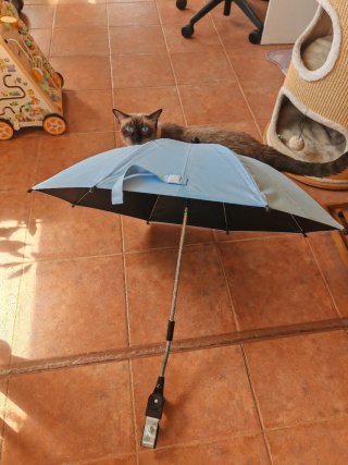 Sombrilla universal para carrito de bebé azul