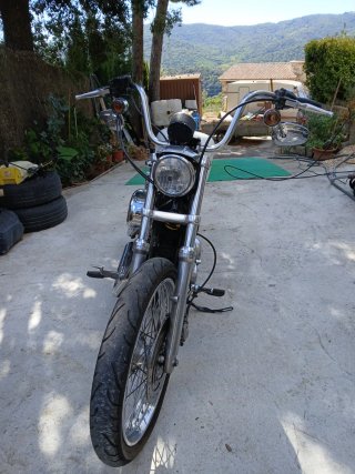 Harley-Davidson Sportster 883 XL LOW