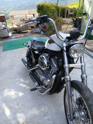 Harley-Davidson Sportster 883 XL LOW